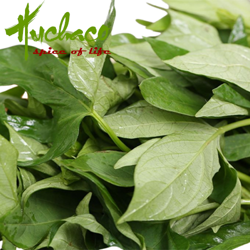 rau lang sweet potato leaves